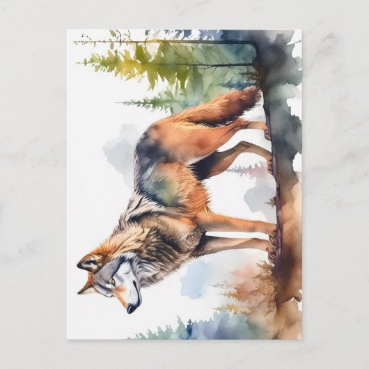 Carte Postale Loup en forêt à l'aquarelle (Devant)