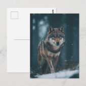 Carte Postale Loup en hiver (Devant / Derrière)
