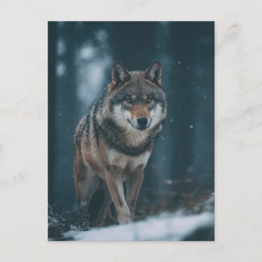 Carte Postale Loup en hiver (Devant)