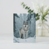 Carte Postale Loup en hiver (Debout devant)