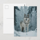 Carte Postale Loup en hiver (Devant / Derrière)