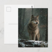 Carte Postale Loup en hiver (Devant / Derrière)