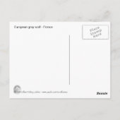 Carte Postale Loup européen (Dos)