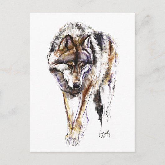 Carte Postale Loup européen (Devant)