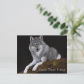 Carte Postale Loup Gris (Debout devant)