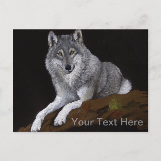 Carte Postale Loup Gris (Devant)