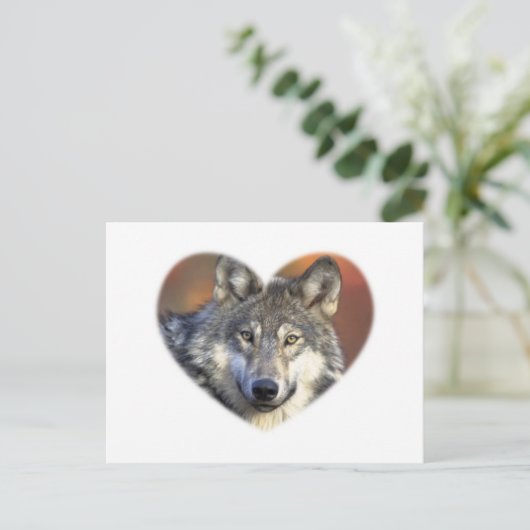 Carte Postale Loup gris (Debout devant)