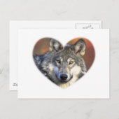 Carte Postale Loup gris (Devant / Derrière)