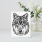 Carte Postale Loup gris (Debout devant)