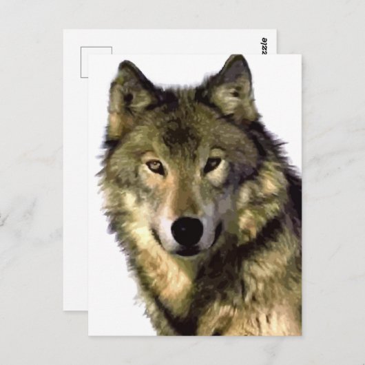 Carte Postale Loup gris (Devant / Derrière)