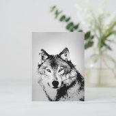 Carte postale Loup gris (Debout devant)