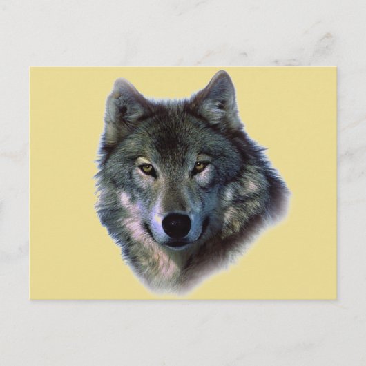 Carte Postale Loup gris (Devant)