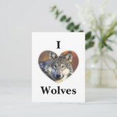 Carte Postale Loup gris (Debout devant)