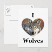 Carte Postale Loup gris (Devant / Derrière)