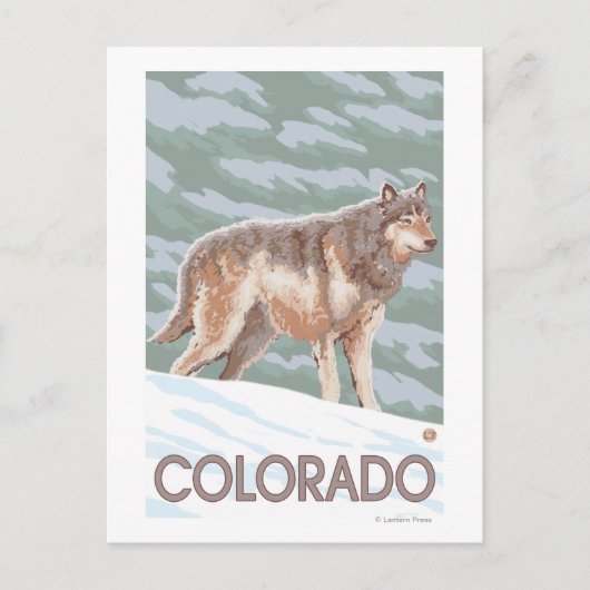 Carte Postale Loup Gris DeboutColorado (Devant)