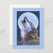 Carte Postale Loup gris HowlingWyoming (Devant / Derrière)