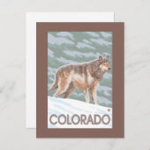 Carte Postale Loup gris Standing Colorado (Devant / Derrière)
