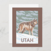 Carte Postale Loup gris StandingUtah (Devant / Derrière)