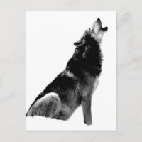 Loup hurlant noir et blanc