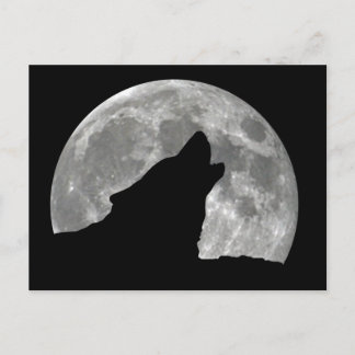 Carte Postale loup hurler