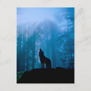 Carte Postale Loup hurleur dans la nature