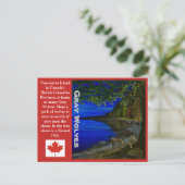 Carte Postale Loup! Loups gris et hibou rayé. (Debout devant)