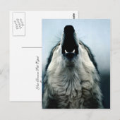 Carte Postale loup mexicain, espèce en voie de disparition, dése (Devant / Derrière)