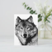 Carte Postale Loup noir et blanc (Debout devant)