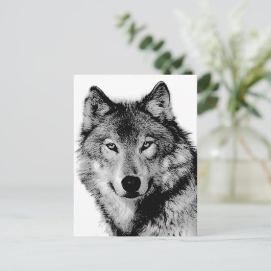 Carte Postale Loup noir et blanc (Debout devant)