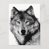 Carte Postale Loup noir et blanc (Devant)