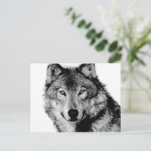 Carte Postale Loup noir et blanc (Debout devant)