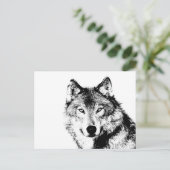 Carte Postale Loup noir et blanc (Debout devant)