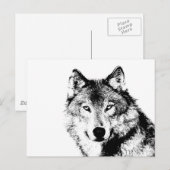 Carte Postale Loup noir et blanc (Devant / Derrière)