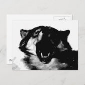 Carte Postale Loup noir et blanc (Devant / Derrière)