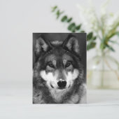 Carte Postale Loup noir et blanc (Debout devant)