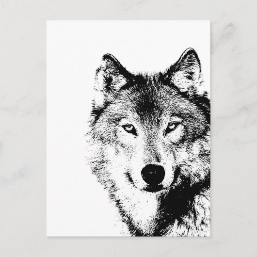Carte Postale Loup noir et blanc (Devant)