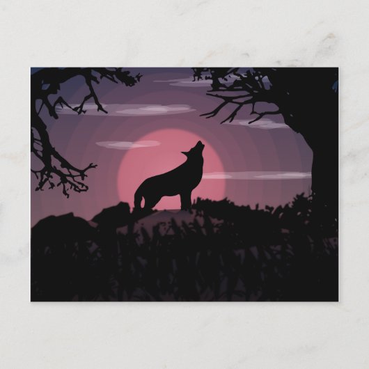 Carte Postale loup pleine lune (Devant)