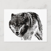 Carte Postale Loup sauvage (Devant)
