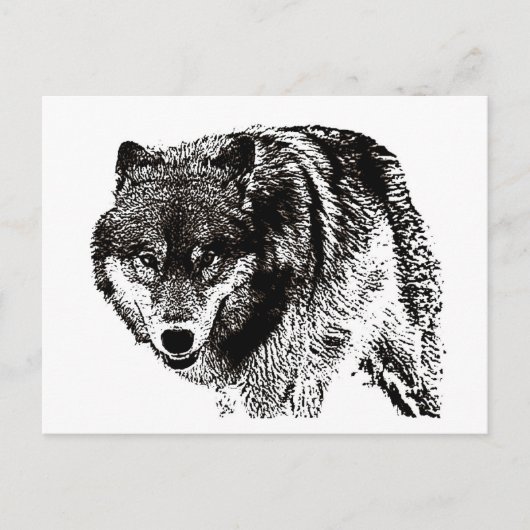 Carte Postale Loup sauvage (Devant)