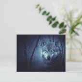 Carte Postale Loup sauvage aux beaux yeux bleus (Debout devant)