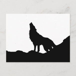 Carte Postale Loup solitaire debout sur une colline