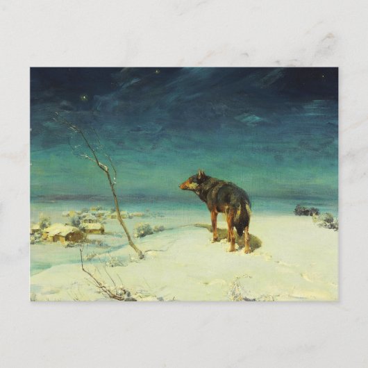 Carte Postale Loup solitaire Samotny Wilk (Devant)
