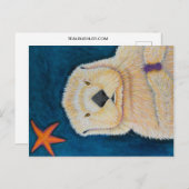 Carte Postale Loupe de mer (Devant / Derrière)