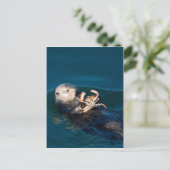 Carte Postale Loupe de mer (Debout devant)