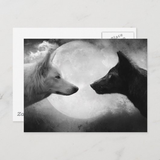 Carte Postale Loups (Devant / Derrière)