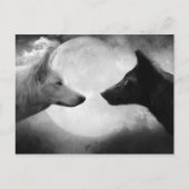 Carte Postale Loups (Devant)