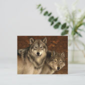 Carte postale Loups (Debout devant)