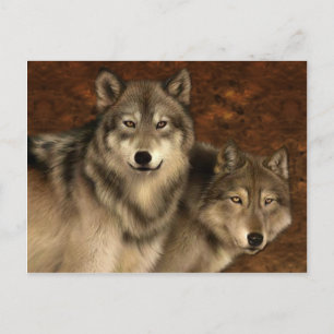 Carte postale Loups