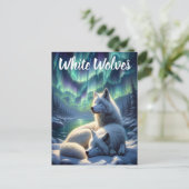 Carte Postale Loups blancs majestueux dans la neige (Debout devant)