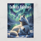 Carte Postale Loups blancs majestueux dans la neige (Devant)